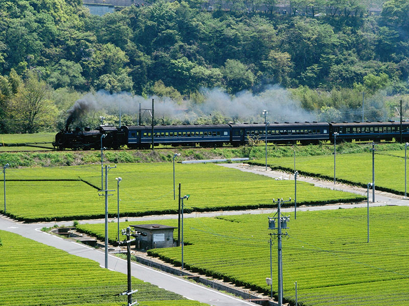 川根支部